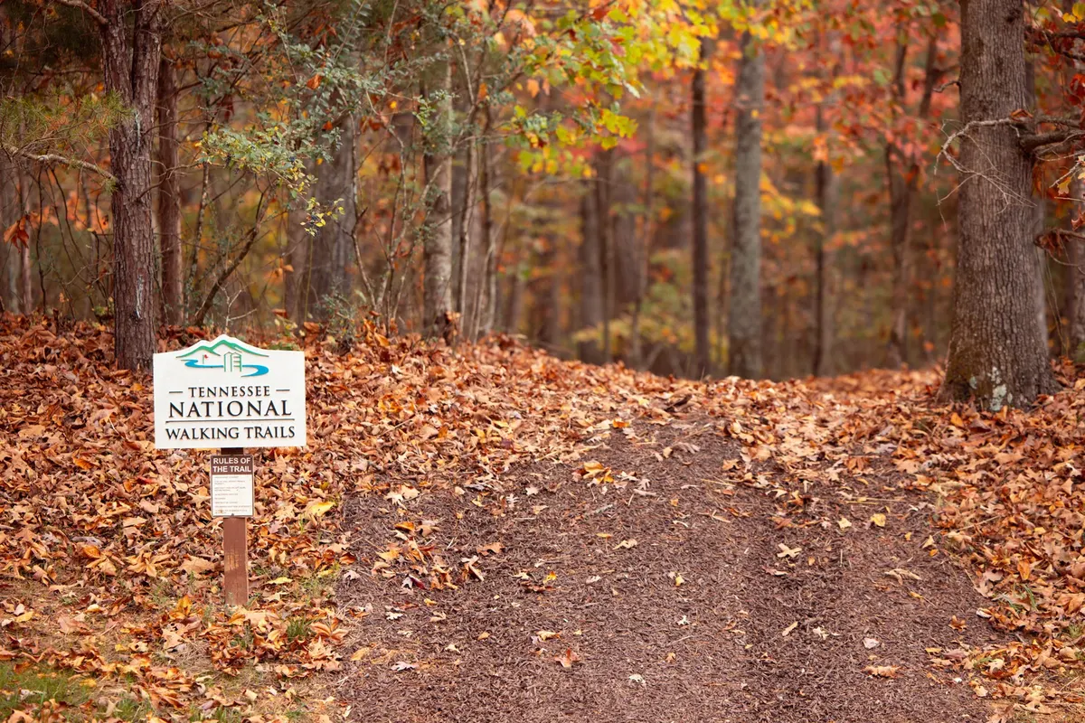 New hiking trails